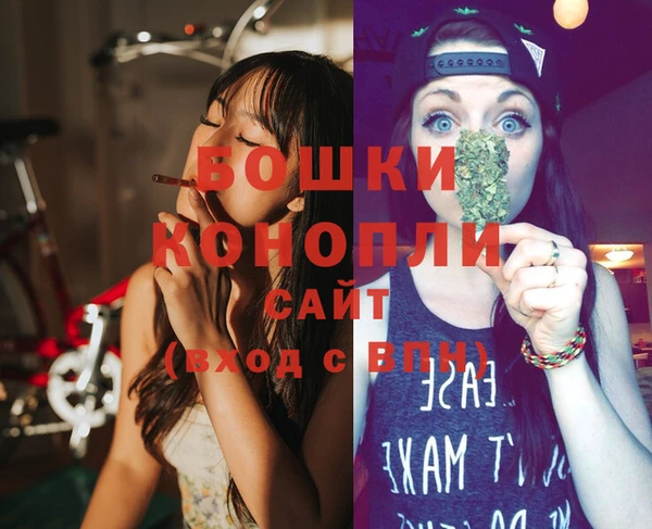 гидра Бородино