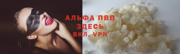 каннабис Новозыбков