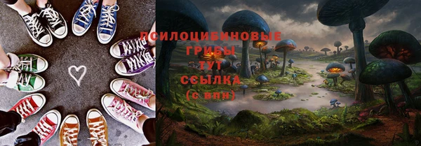 прущий лед Бронницы