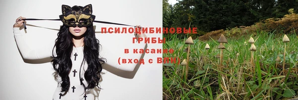 гидра Бородино