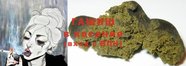 гидра Бородино