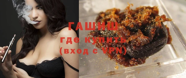 гидра Бородино