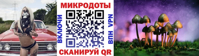 Галлюциногенные грибы MAGIC MUSHROOMS  Гороховец 